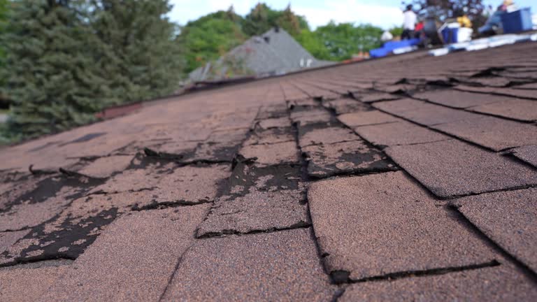 Best Rubber Roofing (EPDM, TPO)  in Hermitage, PA